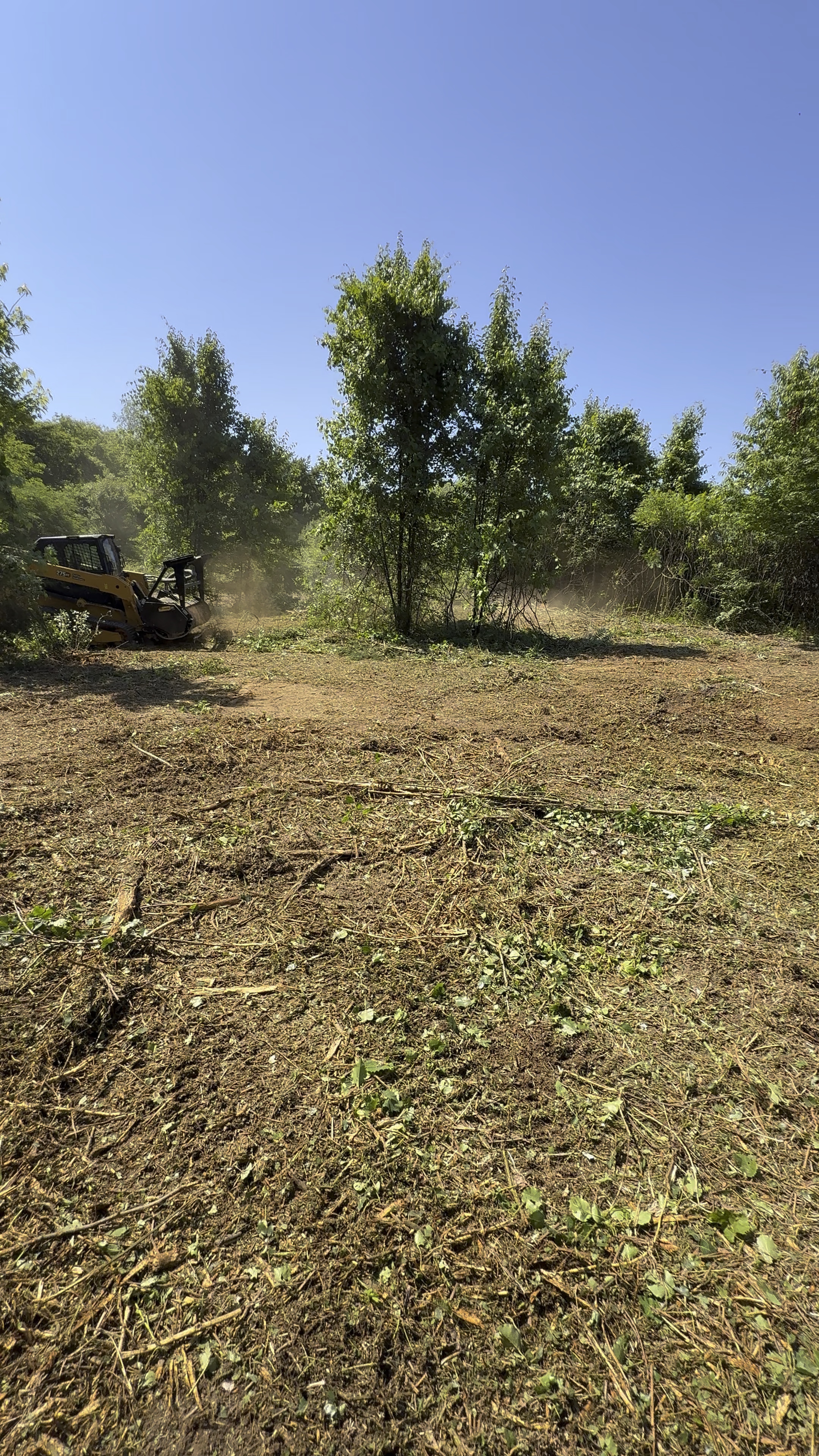 Tracked forestry mulcher clearing overgrown brush on an East Tennessee property (6 of 6)