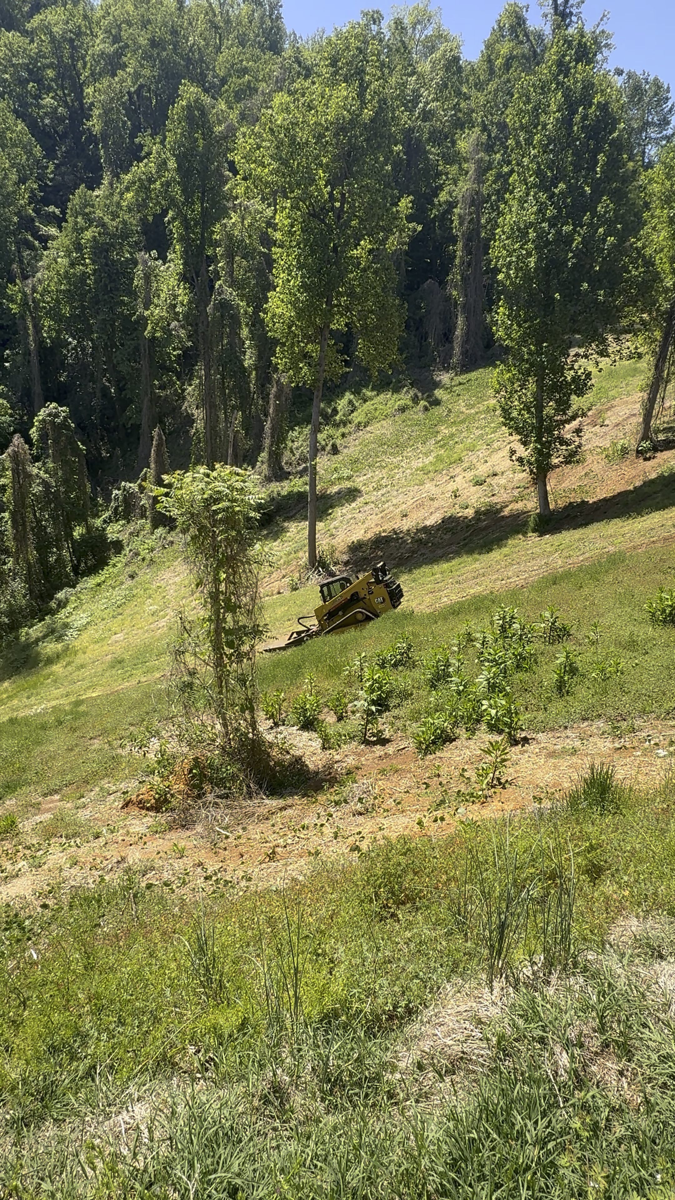 Bush Hogging