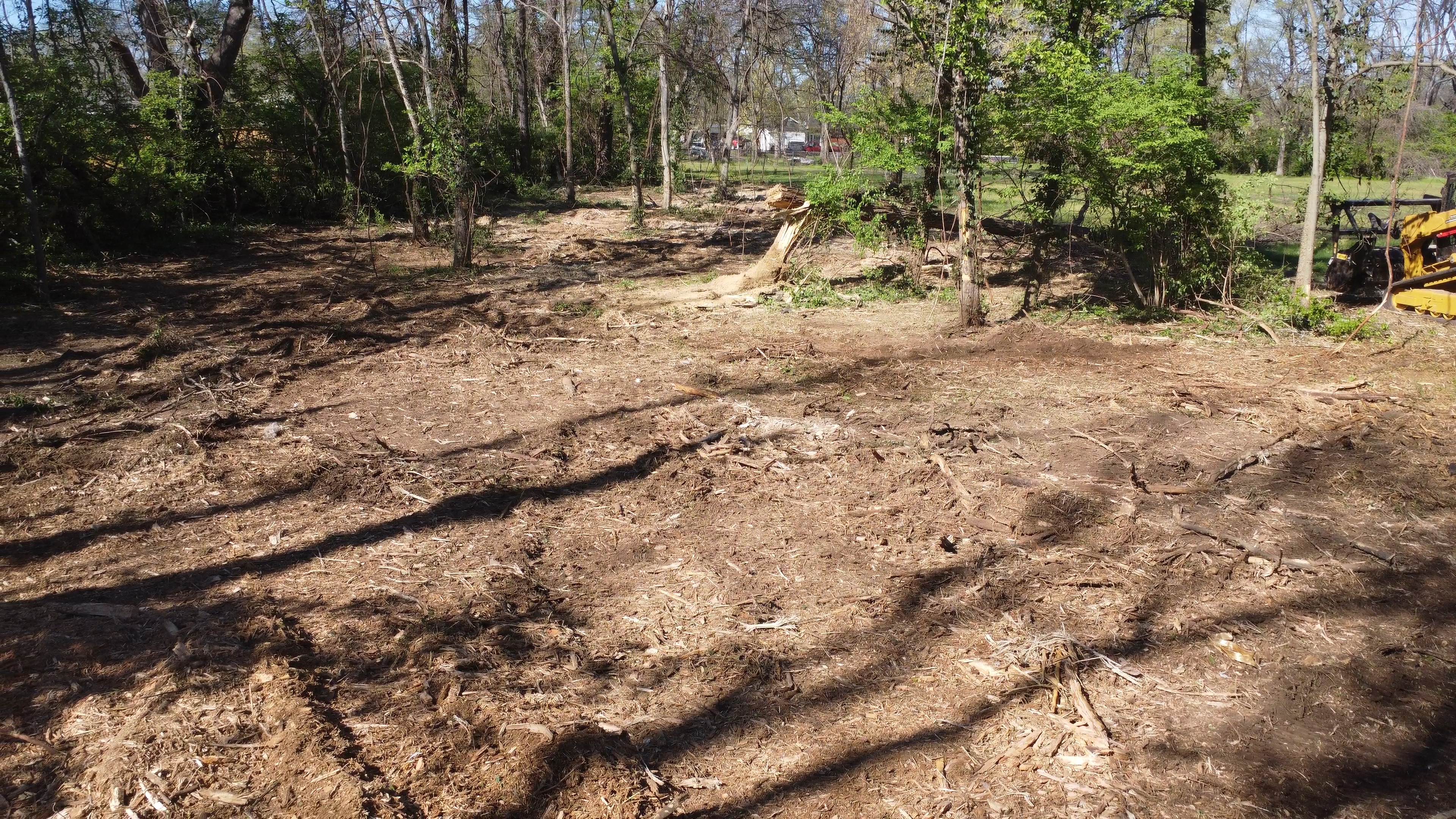 Tracked forestry mulcher clearing overgrown brush on an East Tennessee property (5 of 6)