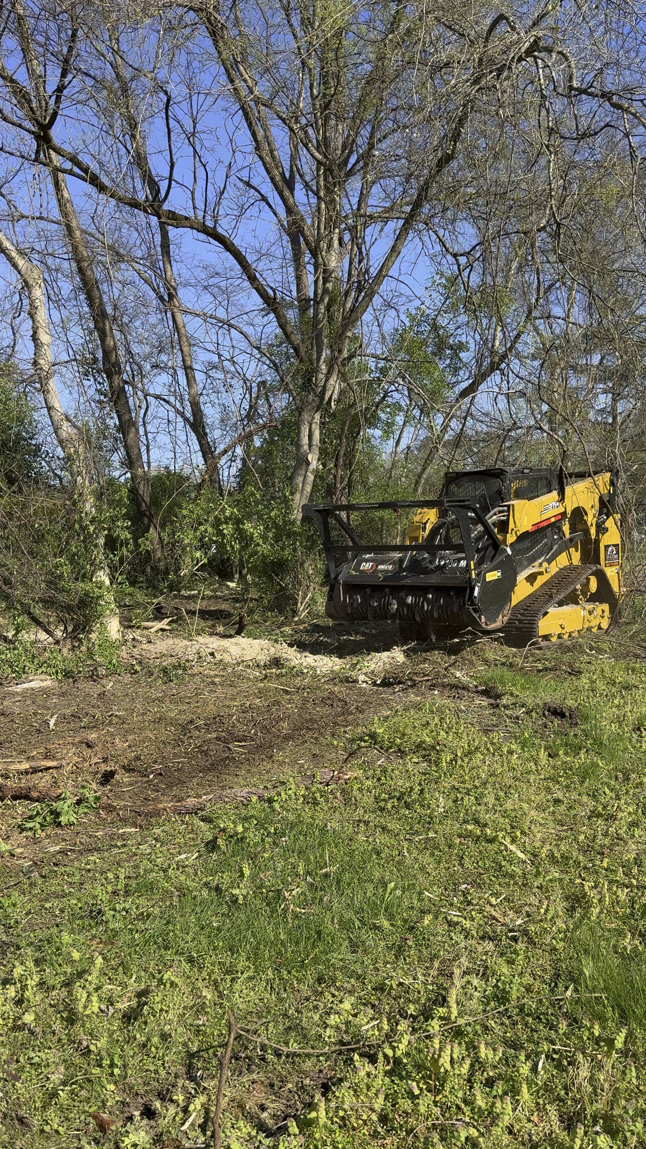 Forestry Mulching