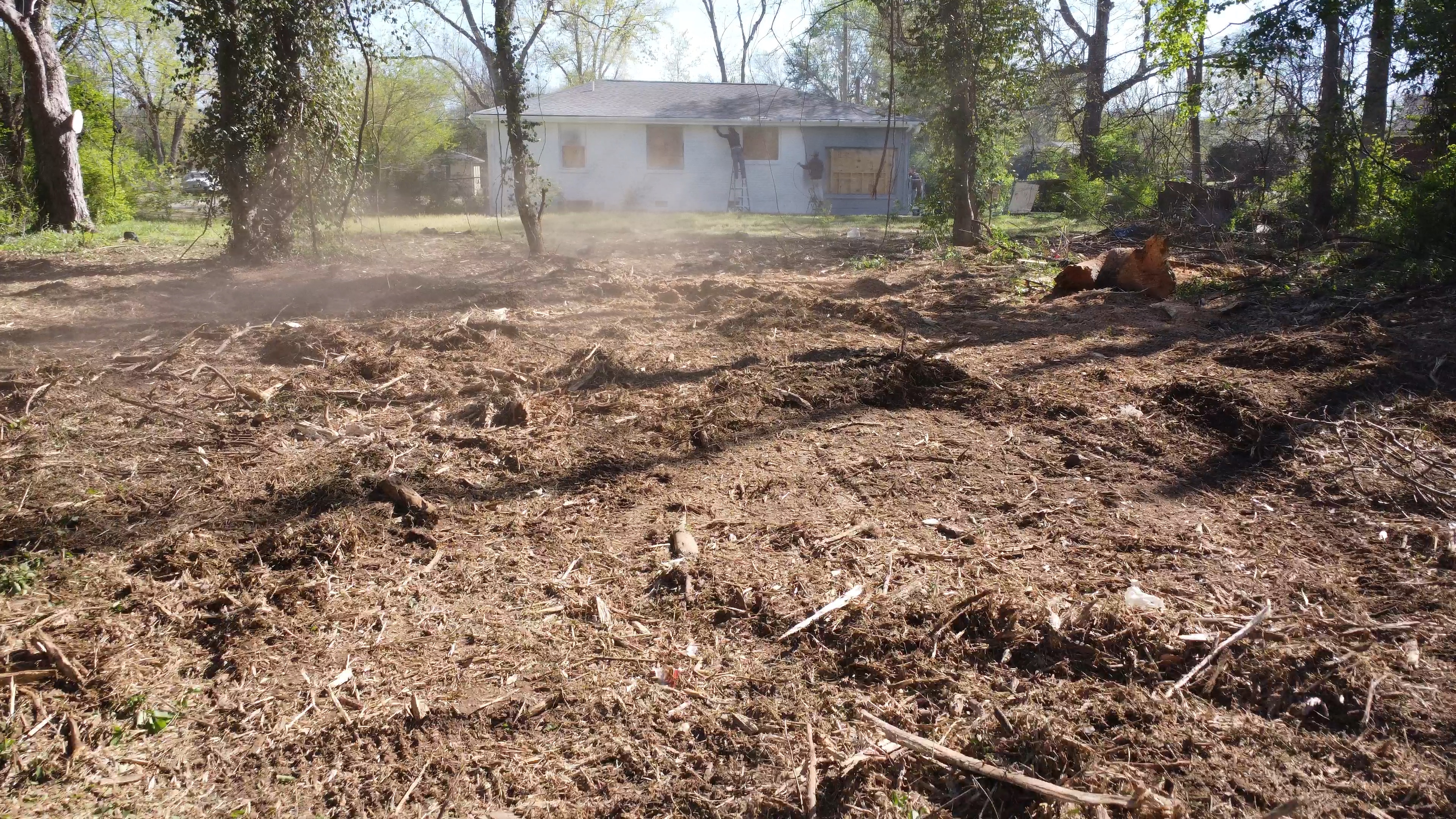 Tracked forestry mulcher clearing overgrown brush on an East Tennessee property (3 of 6)