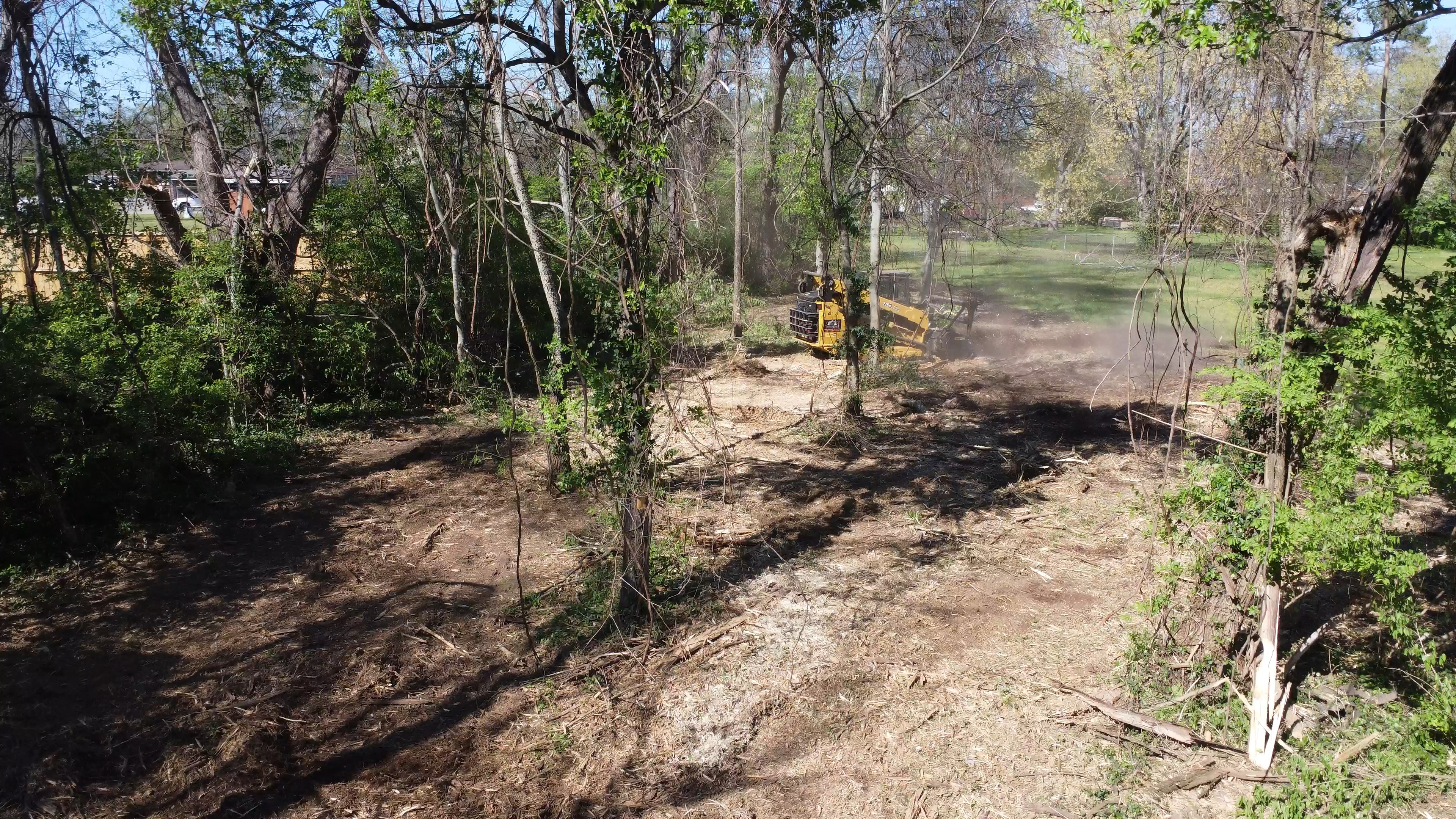 Tracked forestry mulcher clearing overgrown brush on an East Tennessee property (4 of 6)