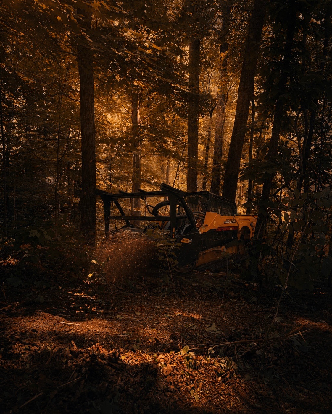 Track loader clearing Appalachian forest at golden hour